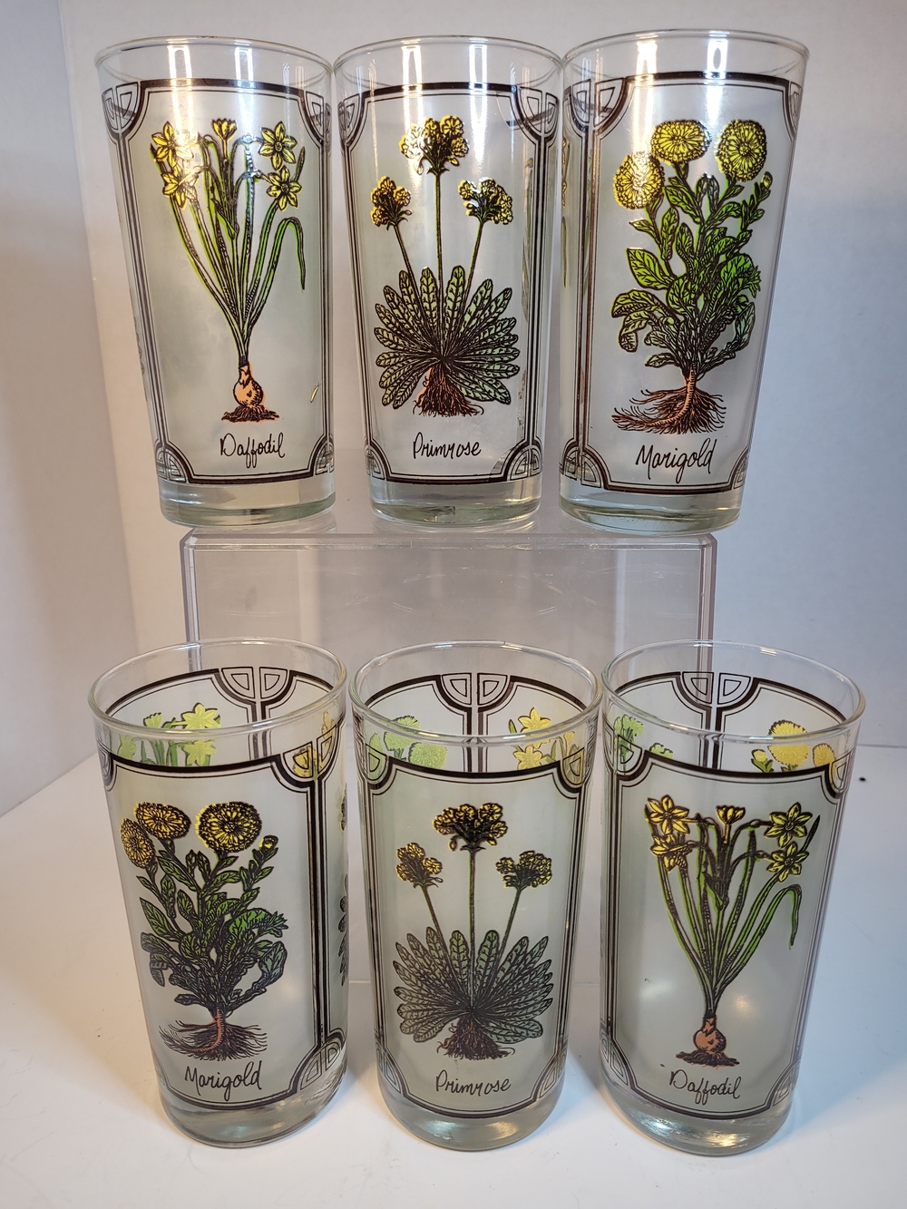 Vintage 70s Drinking Glasses With Flowers On Them Primrose, Marigold, And Daff
